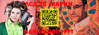 шишки Краснодар
